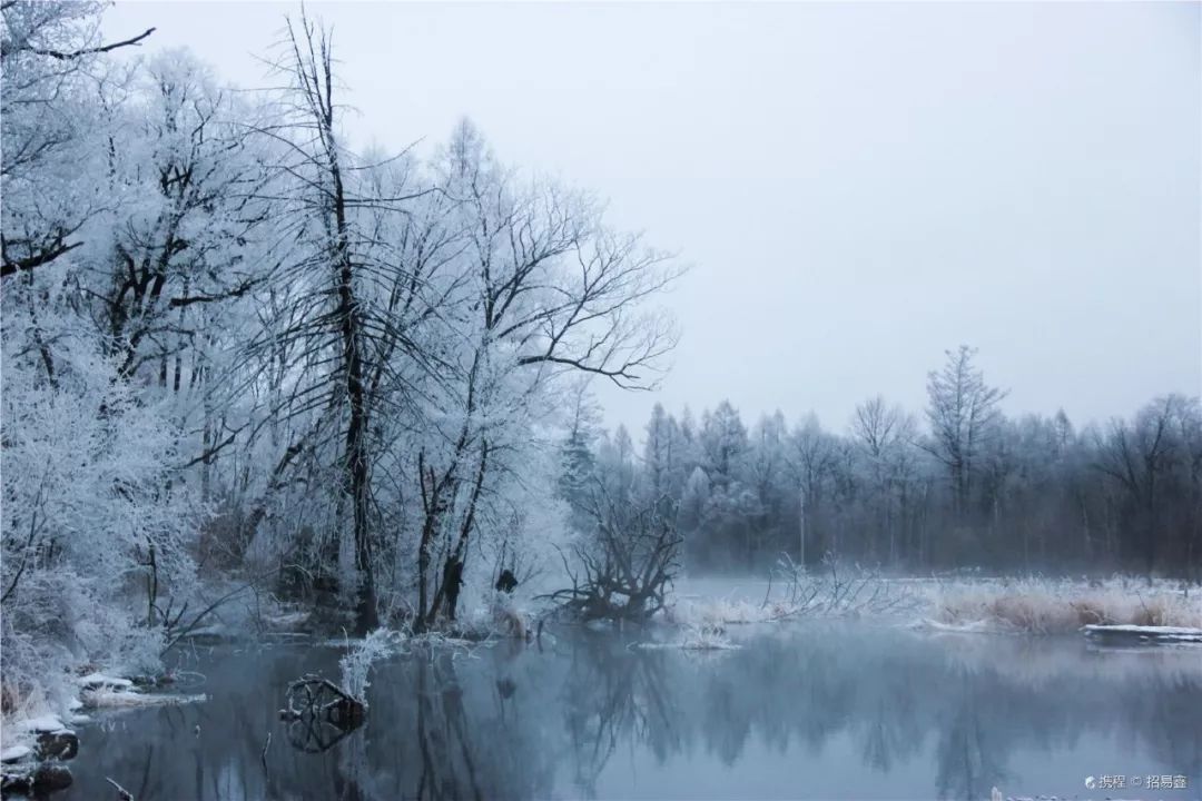 国内这7个绝美雪景地,看到第一个我就想去了!