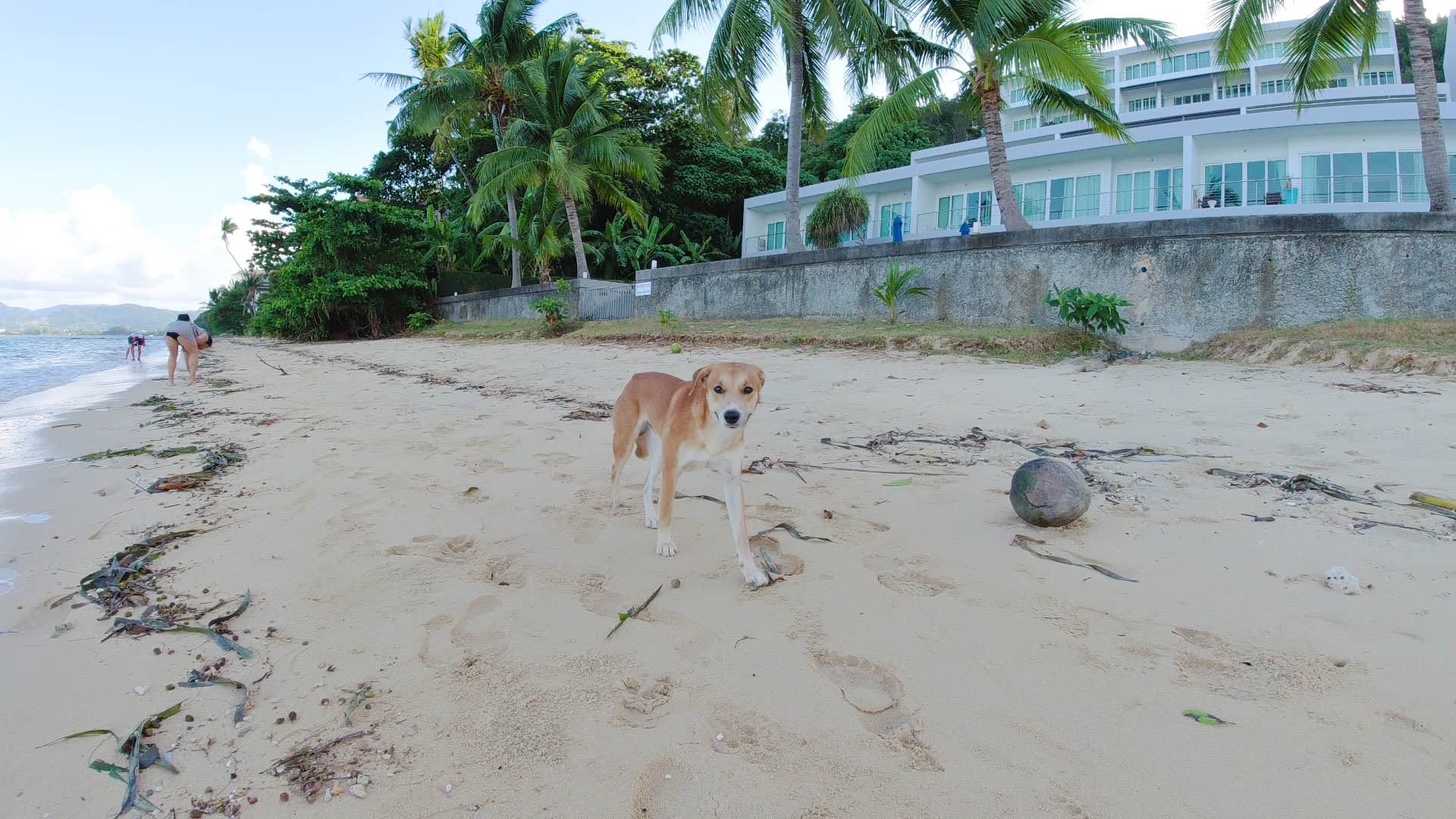 泰国曼谷自驾普吉岛,初次到泰国旅游攻略