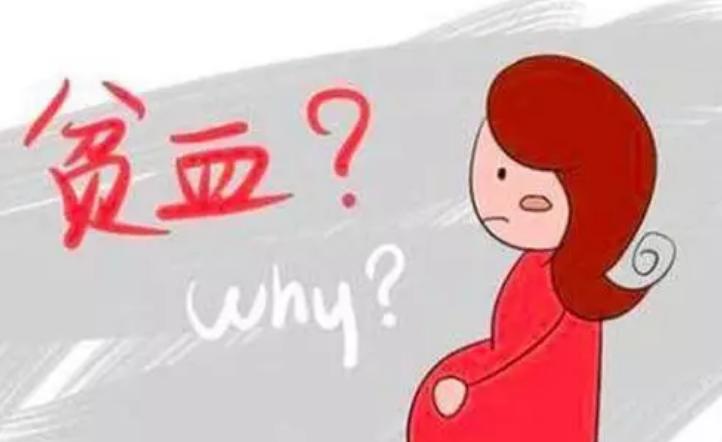 孕期贫血怎样补上去,孕期贫血怎么补最快