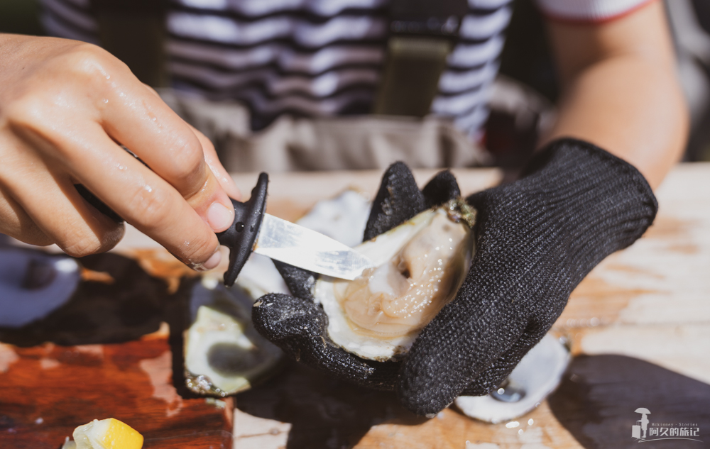 在南澳大利亚的艾尔半岛，Get黄教主同款生蚝农场之旅