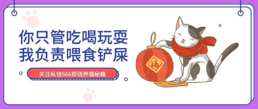 猫咪对付懒猫最好的方法,猫咪犯错告诫自己不生气