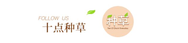 粉底液1000多一瓶养肤测评,粉底液大牌几千