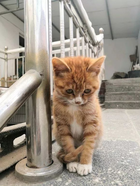 车上有什么东西洗车都洗不掉,汽车污渍普通洗车洗不掉