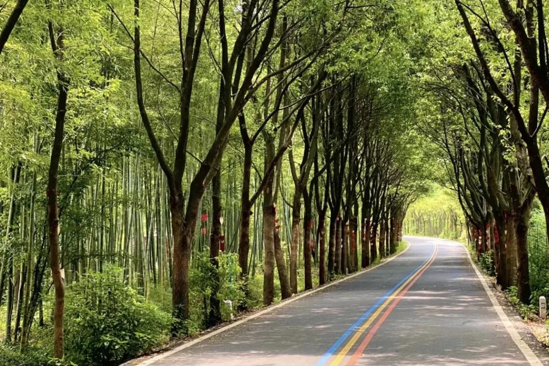 江浙沪天然温泉度假村排名榜,江浙沪温泉最好的地方排名
