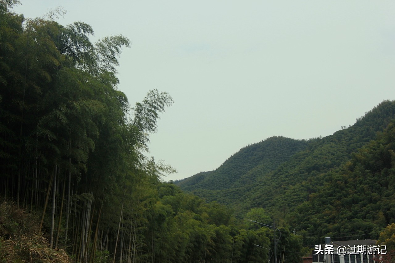 安吉大竹海旅行,冬季安吉大竹海景区