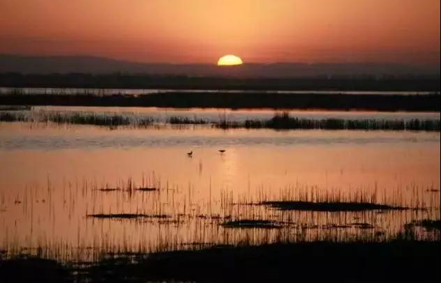 美不美，先看水！走进纳林湖，看巴彦淖尔水美