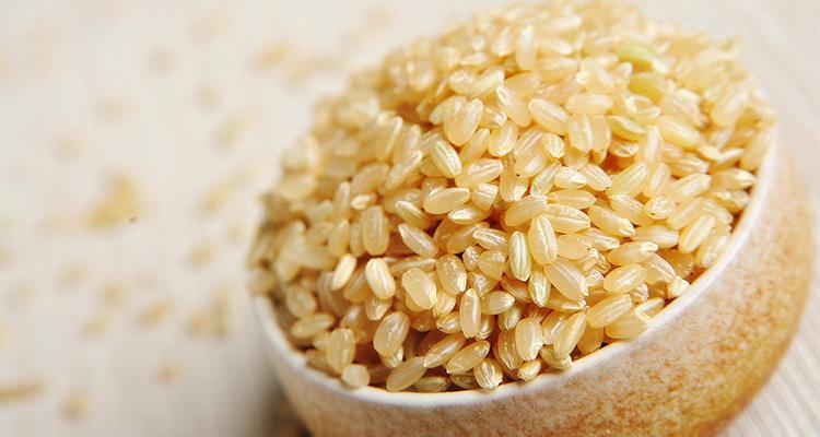 减肥吃什么米当主食,减肥主食食谱一览表