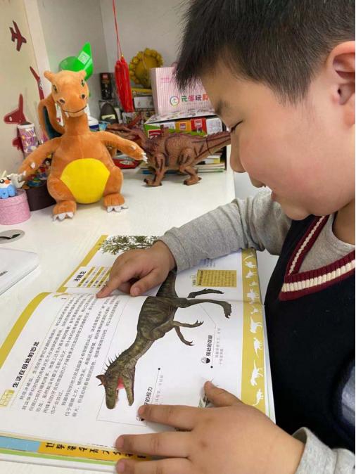 关于恐龙的儿童科普书籍,为什么孩子会喜欢看有关恐龙的书