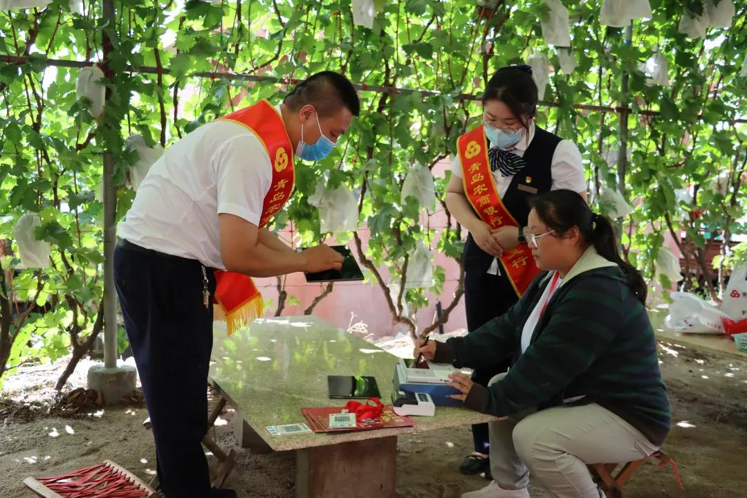青岛农商银行青岛活动,青岛银行青岛农商行