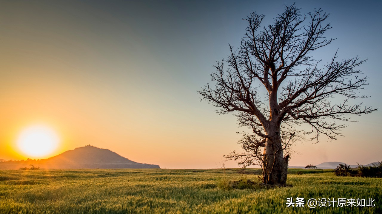 ps可选颜色与色阶调色的区别,ps怎么调色照片背景颜色
