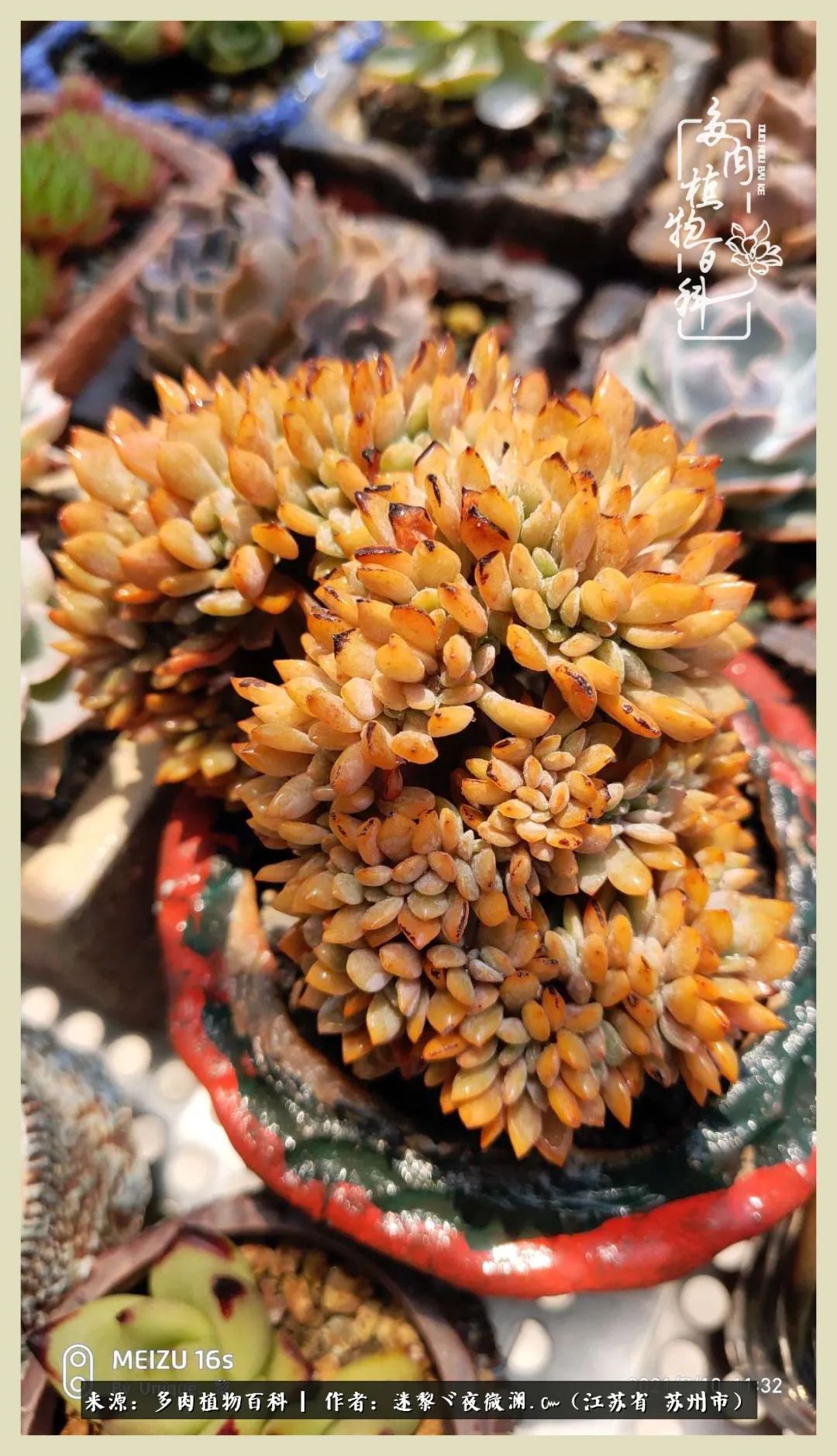 秋尽冬来岁月不居时节如流,岁月不居时节如流水