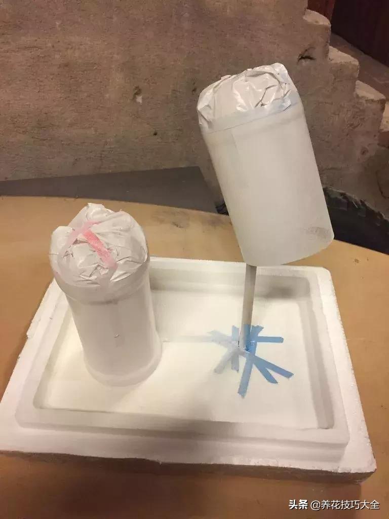 汽水瓶做花盆大全,用塑料瓶做花盆自动吸水