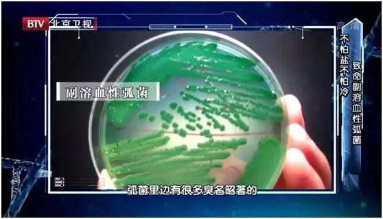 冰箱冷藏食物过久会滋生哪些细菌,冰箱细菌多还是外面常温细菌多