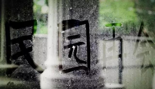 天津泰达足球最强阵容,天津足球老白队