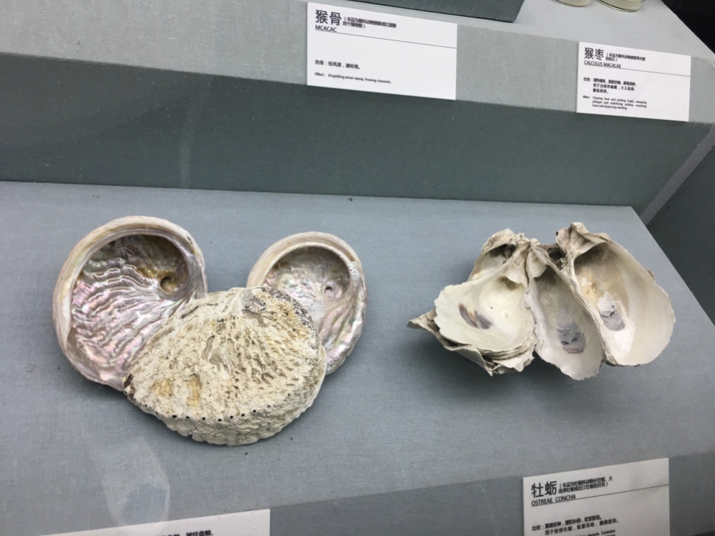 孙思邈的尸体之谜,药王孙思邈一些奇怪理论