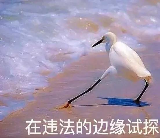 闲鱼违禁商品怎么查,闲鱼违禁词汇总有哪些