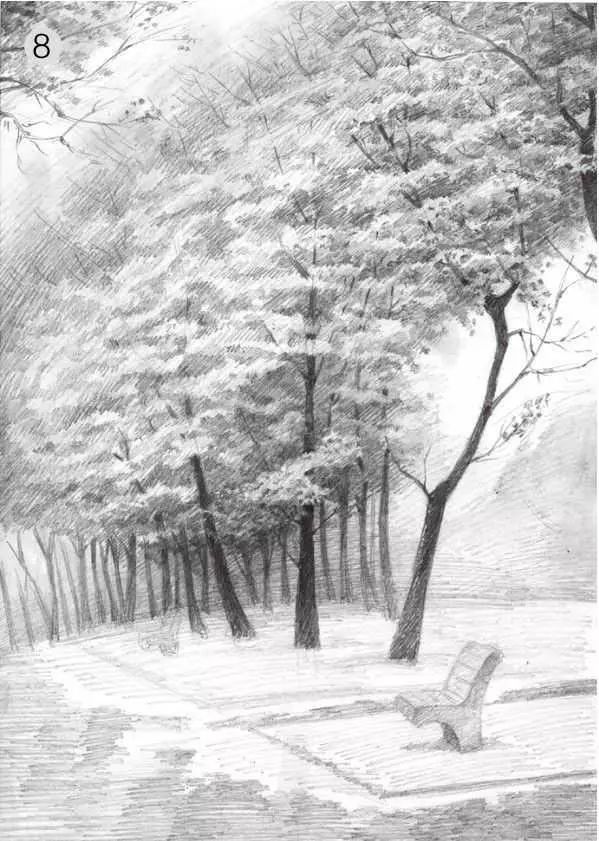 素描雨天树林图片简单版,用八开素描纸怎么画树林