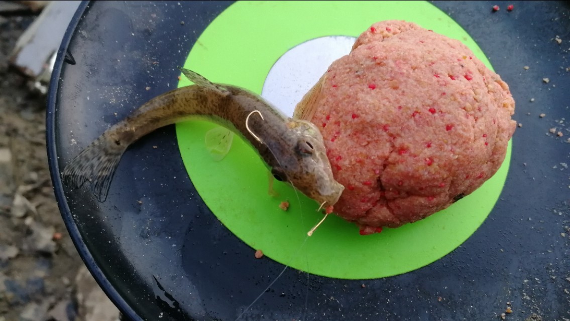 小线组和大线组的区别,小线组好上鱼