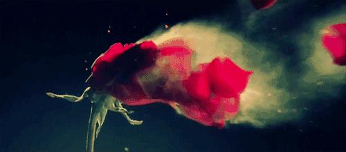 结婚7年老公越来越对我不好,结婚7年被老公宠坏了