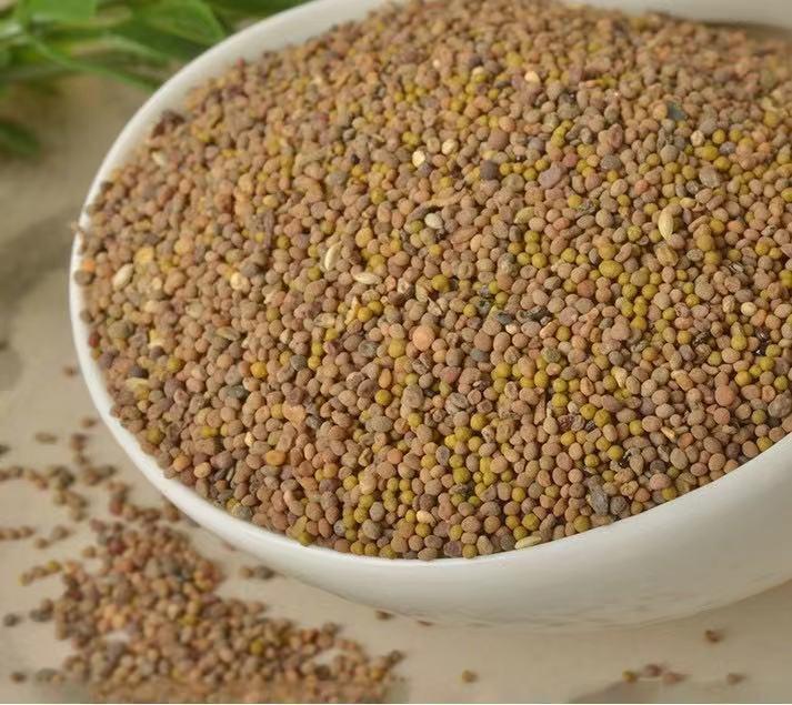 既补阴阳又补肾气肾精,既补肝肾又健脾胃中成药