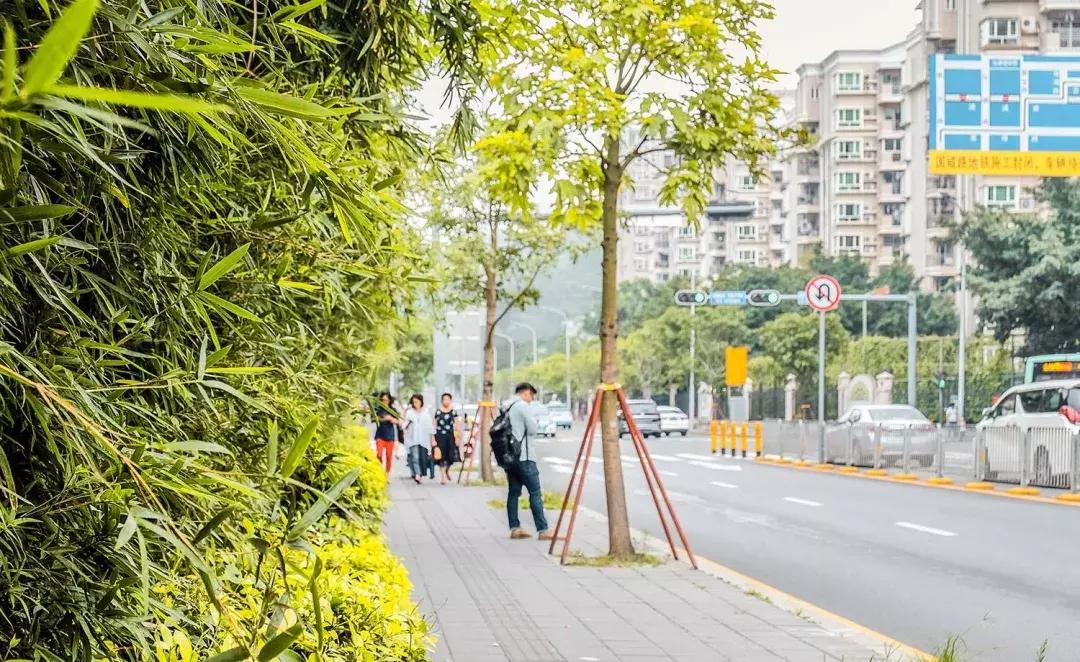 隐藏在梧桐山里的世外桃源,深山独门独户世外桃源