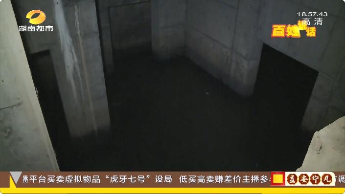 蚊虫、臭味…小区空腔层地下积水超1米！新城国际花都小区业主担心房子安全