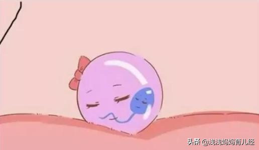 备孕几年都怀不上二胎怎么回事,备孕一直怀不上还要不要测排卵