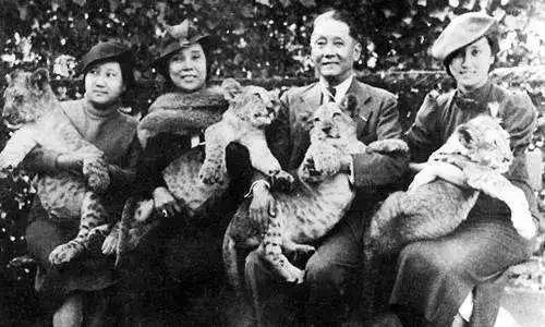 她是金庸表姐，徐志摩表妹，和一代男神的爱情堪称范本