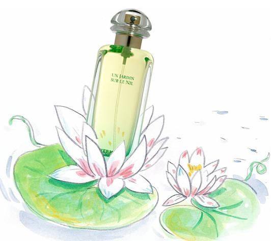 肖战香水是哪一款,肖战同款香水适合女生