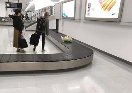 东北囤菜，日本一女子托运卷心菜，这都是什么骚操作？