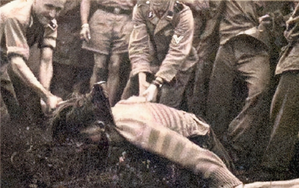 头被砍掉的刹那间，是头觉得肉身掉了，还是身体觉得头没了？