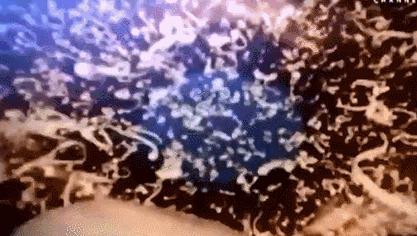 每一个都那么拼命前进，我们还好意思去选择性别吗？