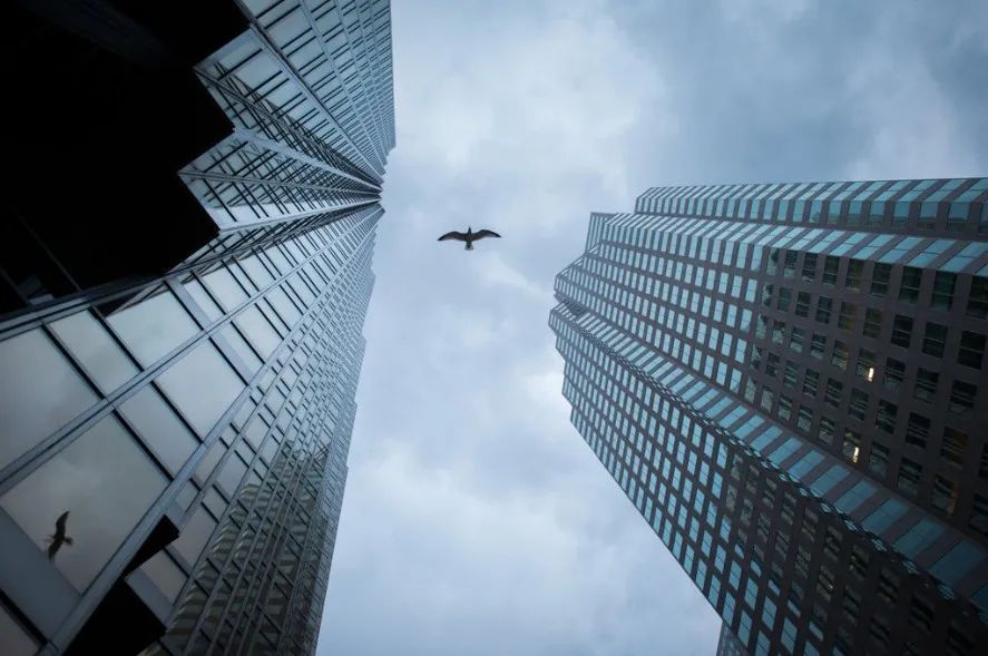 真相来了完整版电影,真相来了视频大全