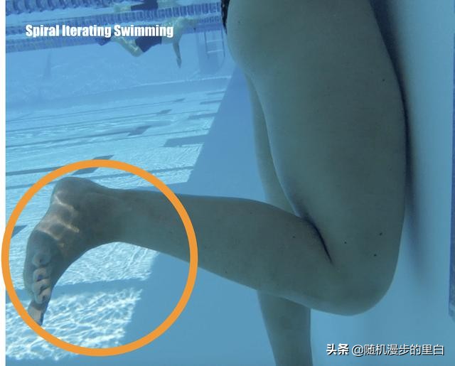 蛙泳练习腿部动作时老是下沉,蛙泳划手和腿部动作教学视频