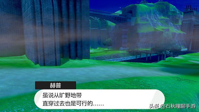 宝可梦剑盾一周目二周目什么意思,switch精灵宝可梦剑盾一周目