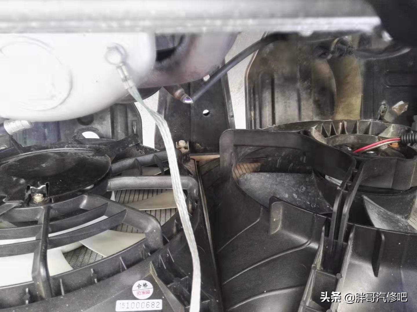 胖哥推荐一款商务车,胖哥试驾铃木维特拉