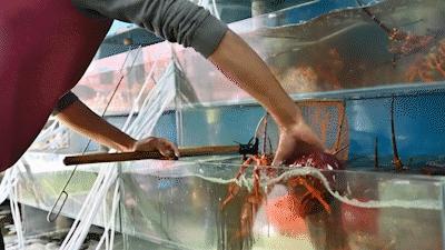 秦皇岛海浪花天桥海鲜批发市场,秦皇岛海浪花批发市场在哪