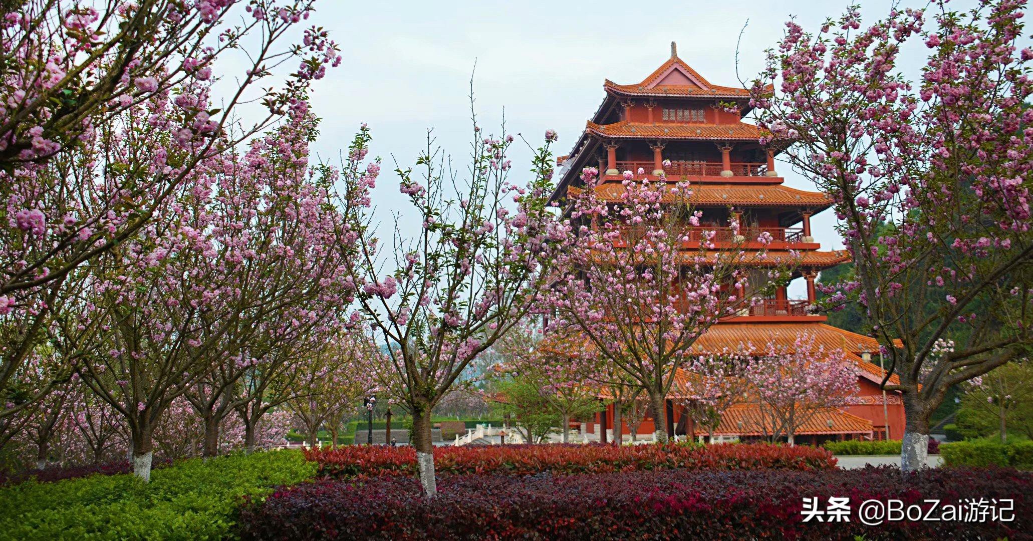 去四川南充都有哪些好耍的,南充市区最好的景点排名前十