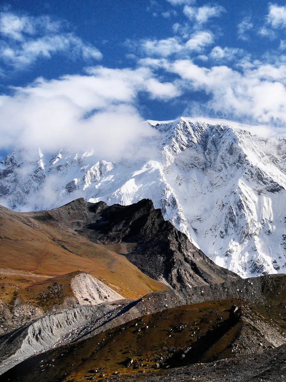 宅家封印解除,漫长的宅家封印解除