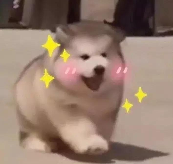 王思聪陈奕迅演唱会,王思聪王力宏陈奕迅