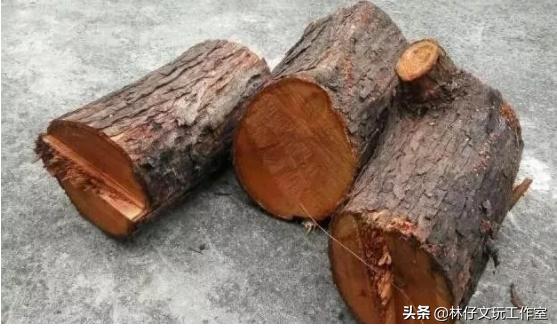 香椿木做珠子好吗,生长几年香椿木可以做手串