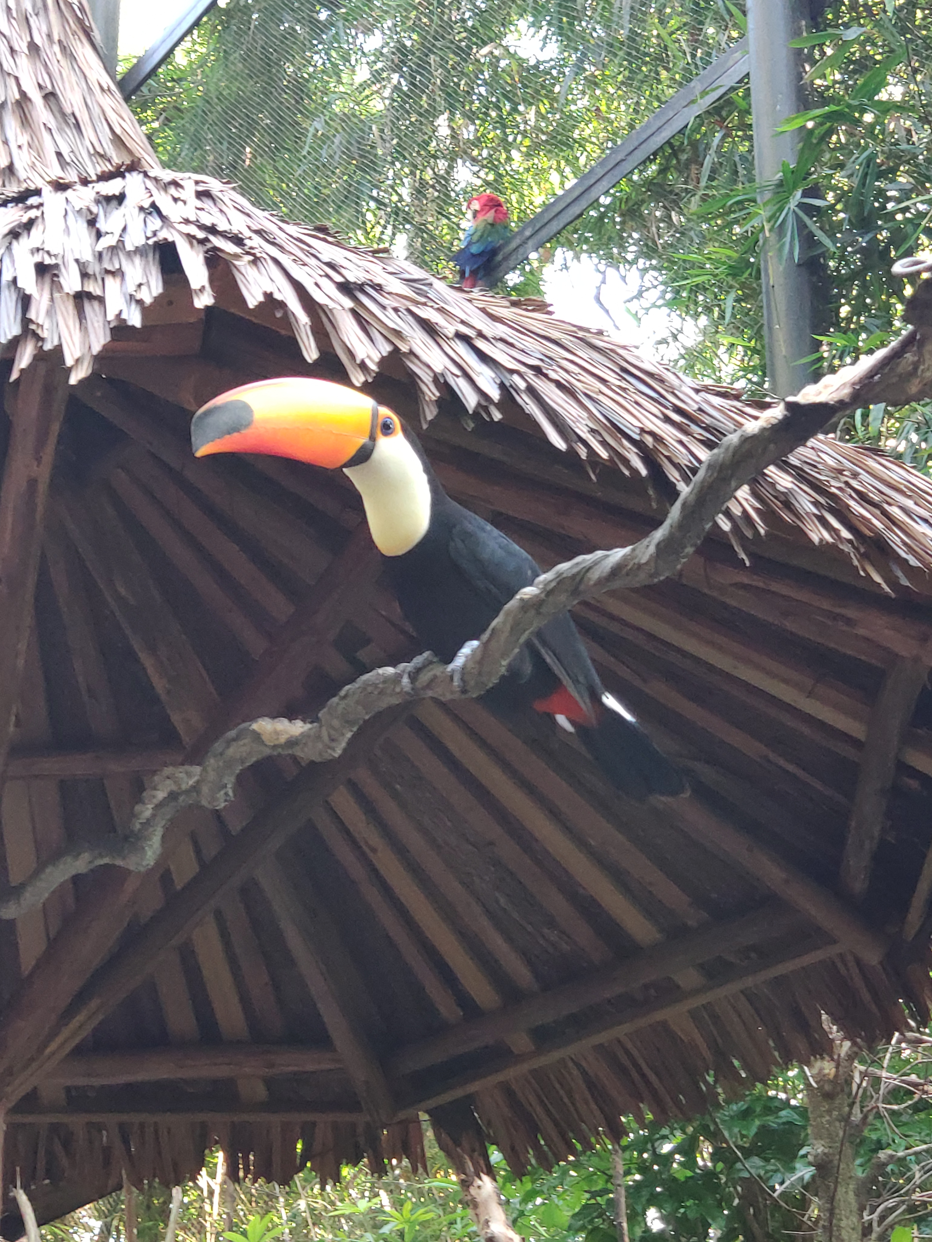 游广州长隆野生动物园地图,长隆野生动物园旅游攻略游遍全城