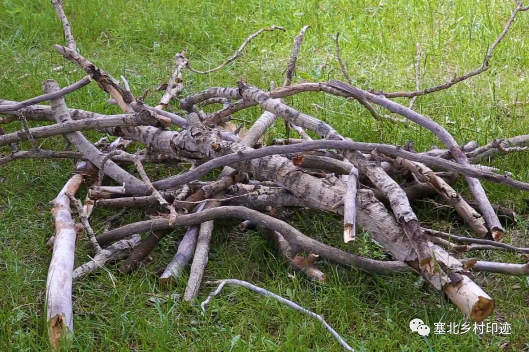 炭化炉烧制木炭全视频,木炭生产视频