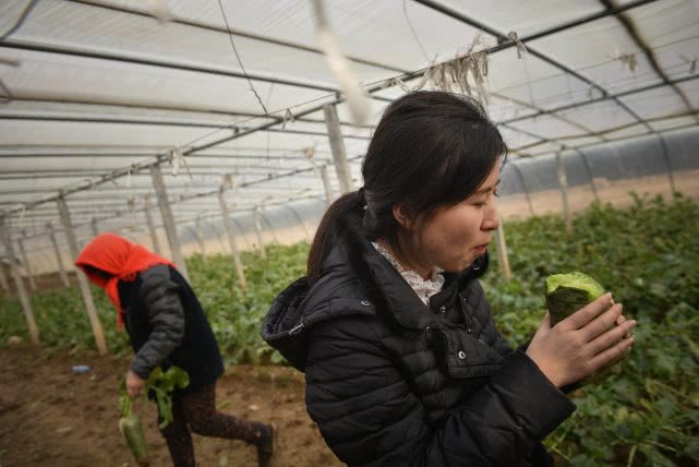 天津美女卖萝卜月入15万,90后豆腐西施月入过万