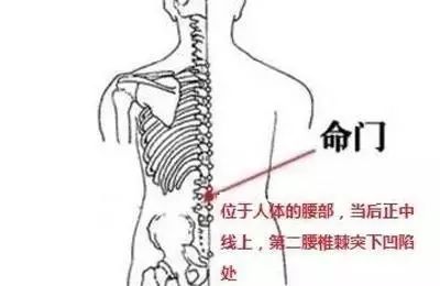 张医生教您穴位按摩从此告别医院！第二篇