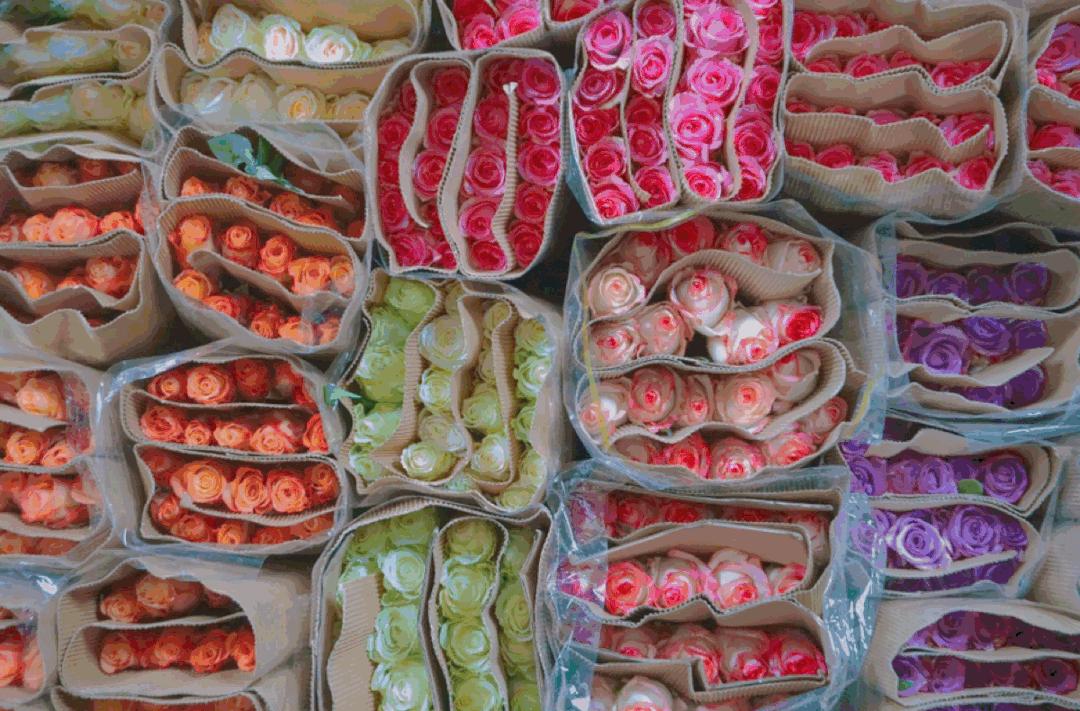 成都景点一日游12月,成都一日游景点推荐五一