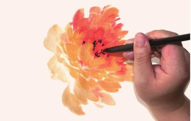 国画牡丹和石头的画法图片,初学国画牡丹花头画法图解