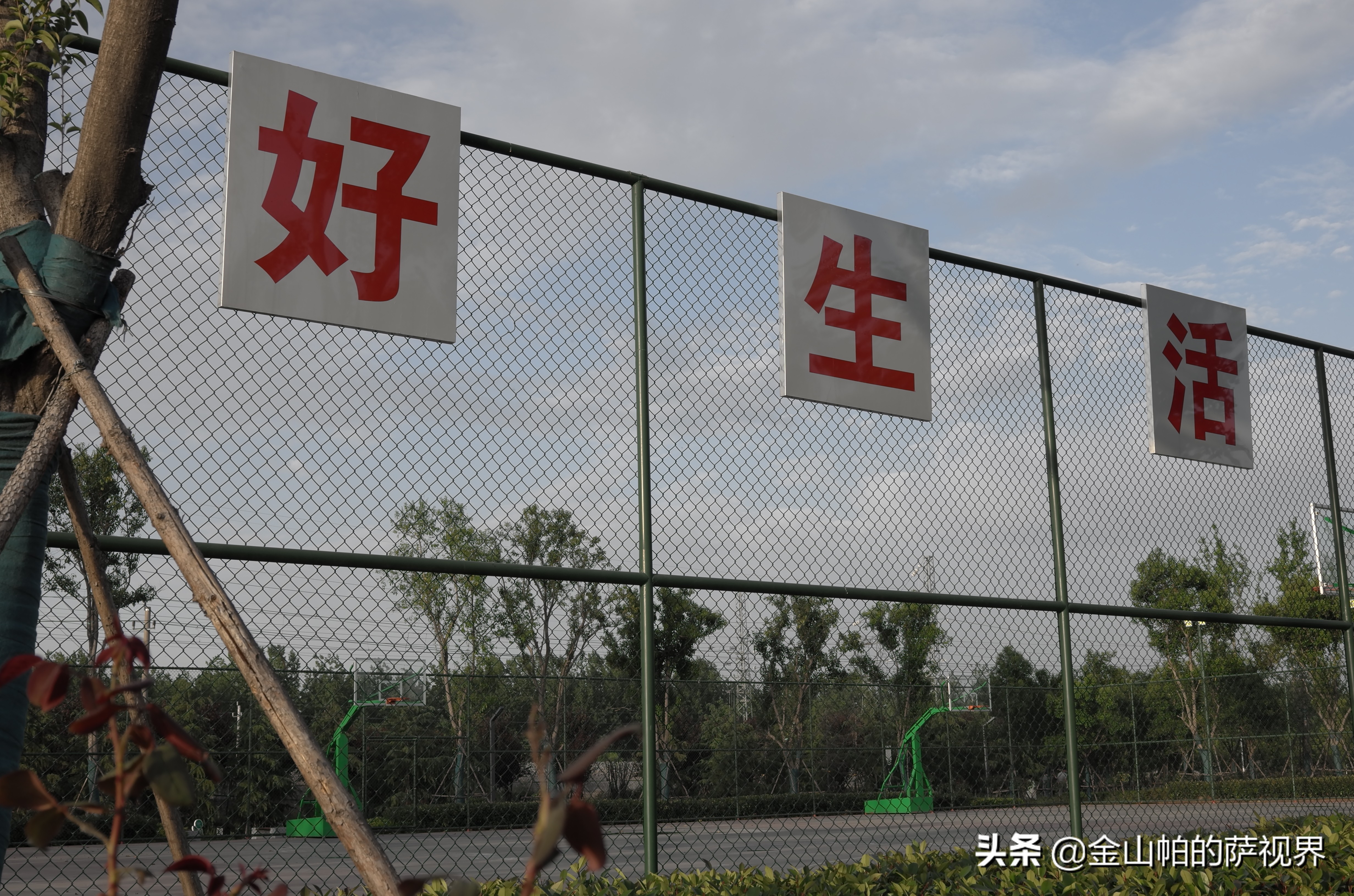 平顶山奥林匹克花园在哪,平顶山奥林匹克地址
