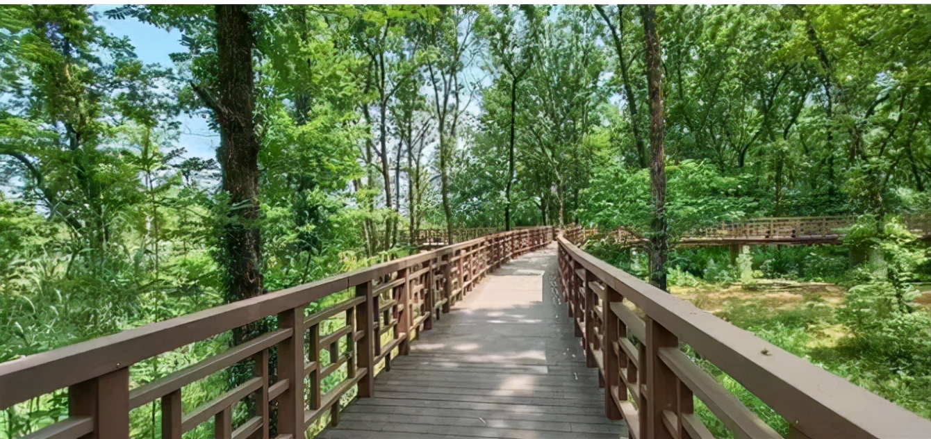 莲花塘乡乡村振兴项目,莲花乡村振兴产业园规划图