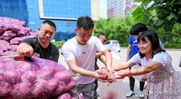 多方援手销洋葱,多方爱心接力帮助瓜农销瓜